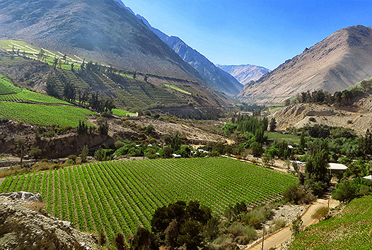 valle-del-elqui