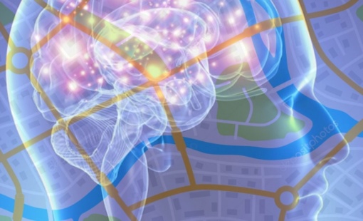 cerebrogpsinterno_816x428 cerebrogpsinterno_816x428