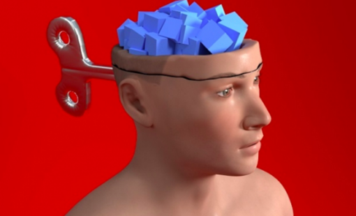 Toxoplasma solo foto