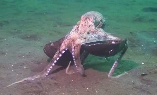 Captura-de-pantalla-2015-08-07-a-las-17.40.21_816x428 Captura-de-pantalla-2015-08-07-a-las-17.40.21_816x428