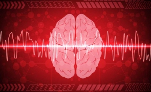 cerebro-1555684581-621x354_816x428 cerebro-1555684581-621x354_816x428