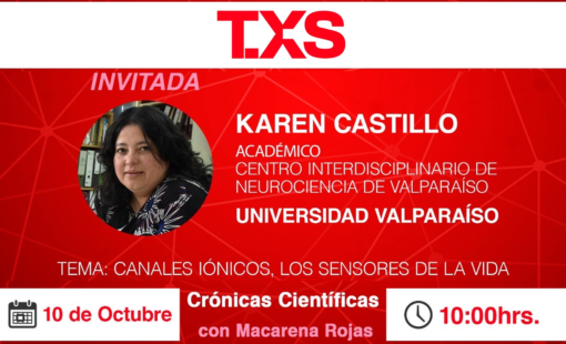 TXS BANNER 2 TXS BANNER 2