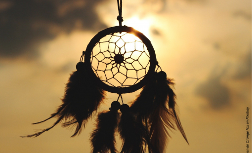 Imagen de Orange Fox en Pixabay_mini3