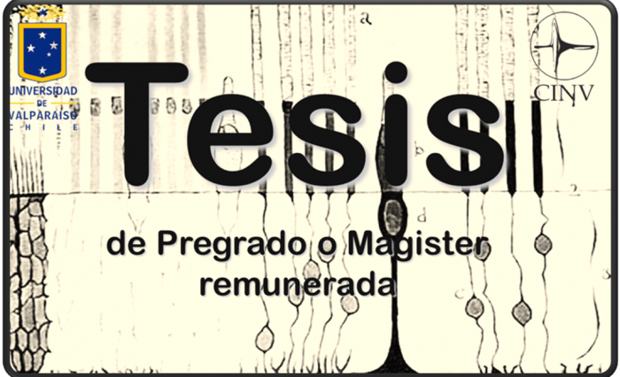 Imagen28