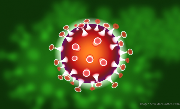 coronavirusbannner 1