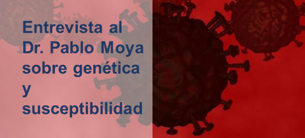 mini portada con texto 2