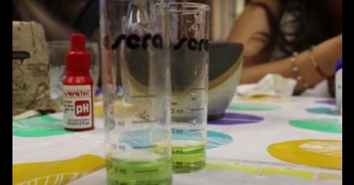 CAT Nat Geo mini CAT Nat Geo mini