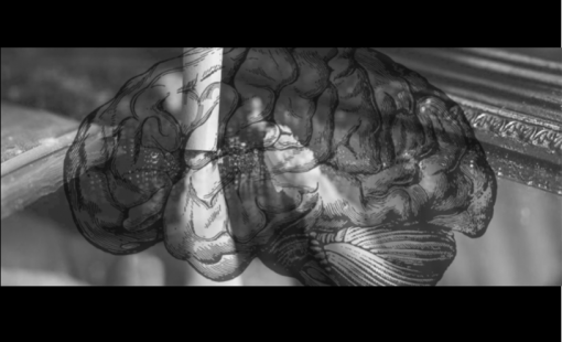 Cocaina Dopamina Genes portada Cocaina Dopamina Genes portada