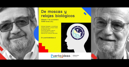 LATORRE ROSBASH PIV2020 MINI LATORRE ROSBASH PIV2020 MINI