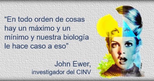 Cambios anuales portmini Cambios anuales portmini