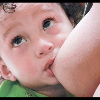 Estudio en neurociencias arroja que el temperamento es transmisible por la leche materna