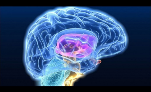 cerebromin cerebromin