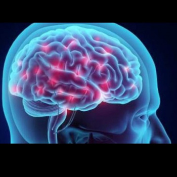 Los recuerdos crean una “huella neuronal” en el cerebro que define la individualidad frente a una experiencia en común