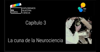 La cuna de la neurociencia mi j