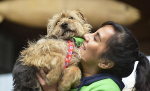 perros-humanos_min perros-humanos_min