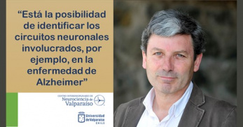 Alzheimer Palacios min
