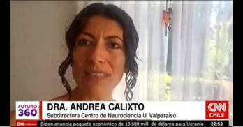 Andrea Calixto min