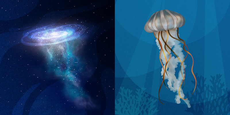 8-galaxiamedusa-medusa