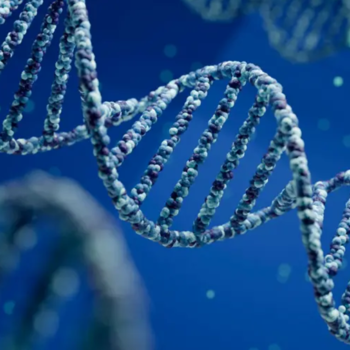 Epigenética ¿Una nueva forma de herencia?