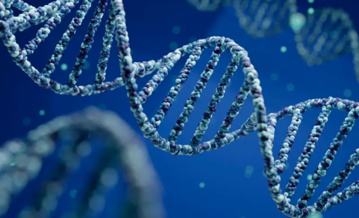 Portada Mini Portada Mini