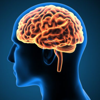 Explorando la bóveda de los recuerdos: un viaje a la memoria infantil