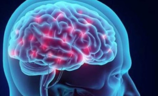 cerebrodrogaspsicodelicas-700x298-1 miun