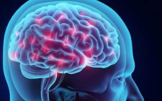 cerebrodrogaspsicodelicas-700x298-1 miun