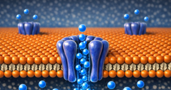 Canales min Canales min