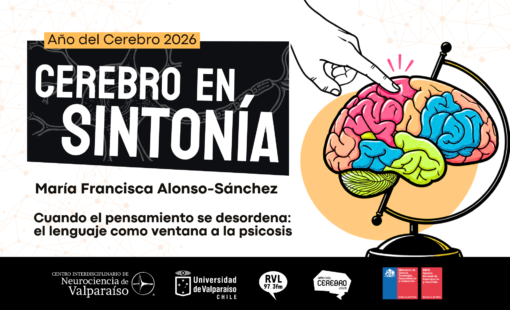 Cerebro en Sintonía