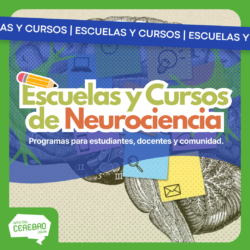Escuelas y cursos