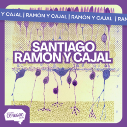 Ramon y cajal