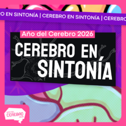 cerebro en sintonia