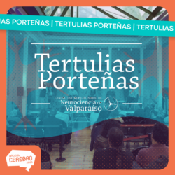 tertulia