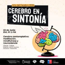 Cerebro en Sintonía-12