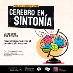 Cerebro en Sintonía-13