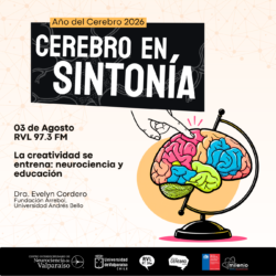 Cerebro en Sintonía-14