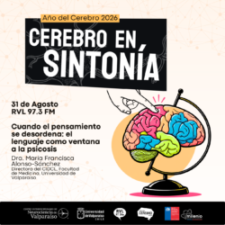 Cerebro en Sintonía-16