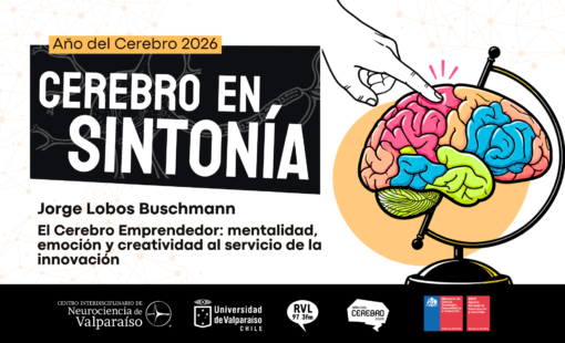 Cerebro en Sintonía-18 Cerebro en Sintonía-18