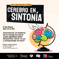 Cerebro en Sintonía-9